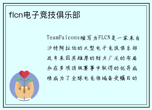 flcn电子竞技俱乐部